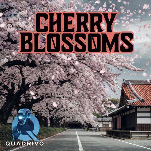 Cherry Blossoms